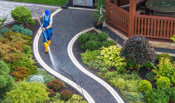Best Roof Pressure Washing  in Lonville, GA